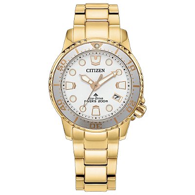 Citizen Promaster