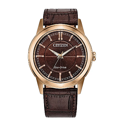 Citizen Rolan