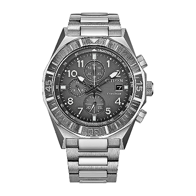 Citizen Promaster
