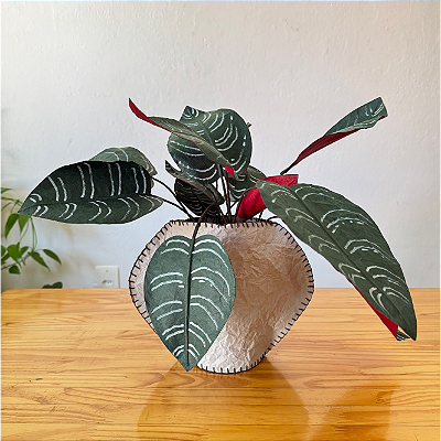 Arranjo de Folhagens Maranta em Papel com Vaso Costurado