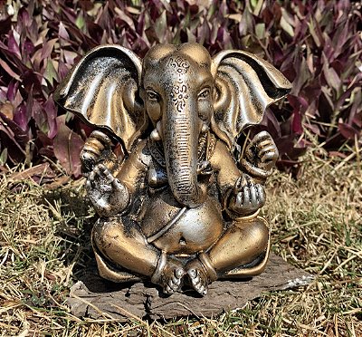 Ganesha Orelhudo