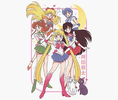 Enjoystick Sailor Moon - Sailor Guardians