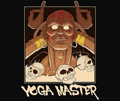 Enjoystick Street Fighter Yoaga Master