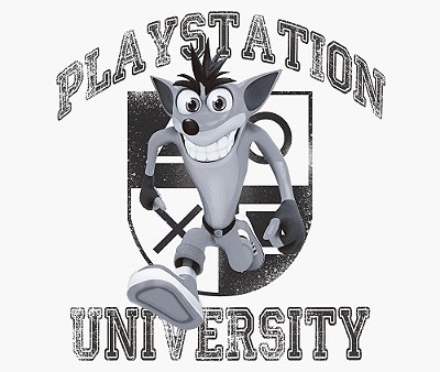 Enjoystick Playstation University Feat Crash - Black