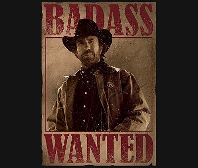 Enjoystick Chuck Norris - Wanted Poster