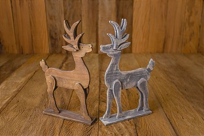 Rena Blitzen para Cenário Fotográfico