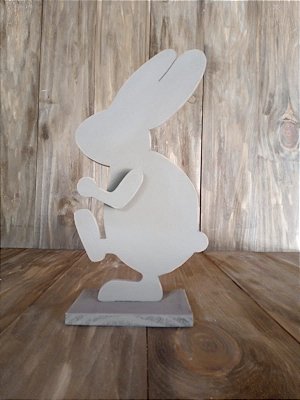 Coelho velho chiquinho para cenário fotográfico