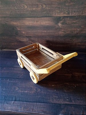 Props para cenário fotográfico newborn acompanhamento vagãozinho Tok Tok