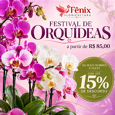 Promoção de orquídeas