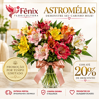 promo astromelia