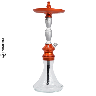 Zeus Cup | 2026 | Holanda