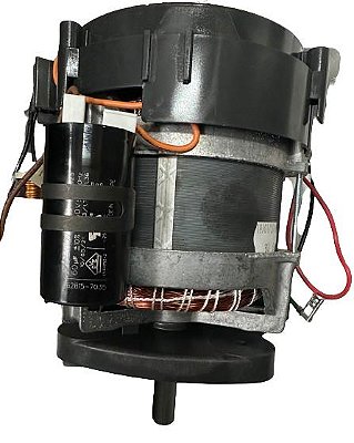 Motor J80 220/60/1 (Robot Coupe)
