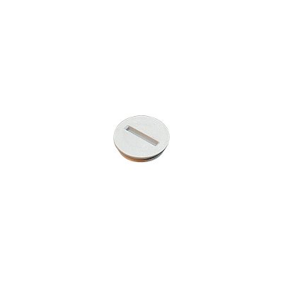 Plug do Braço de Lavagem - ECOMAX 612 (Hobart)