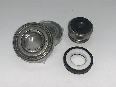 Kit de Reparo Bomba de Lavagem FE30E / FX40 (selo e rolamentos) (Hobart)