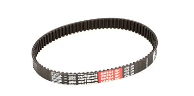 Correia dentada CL 50 Ultra "D " (Robot Coupe)