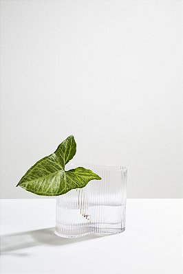 vaso de vidro meyer transparente P