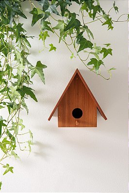 casa de passarinho Rio