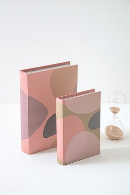 dupla caixa livro joy