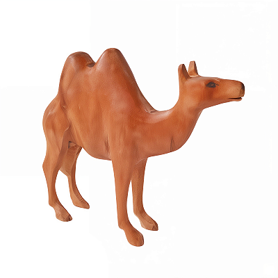 Camelo M - Miro - CE