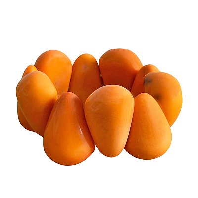 Pulseira Bolota de Jarina Laranja - Carlos - AM