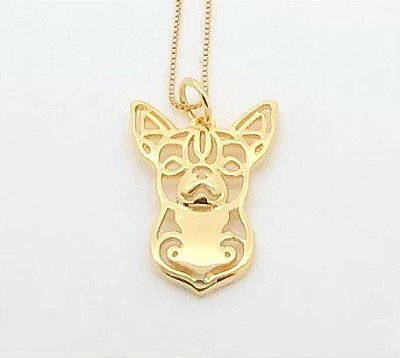 Chihuahua