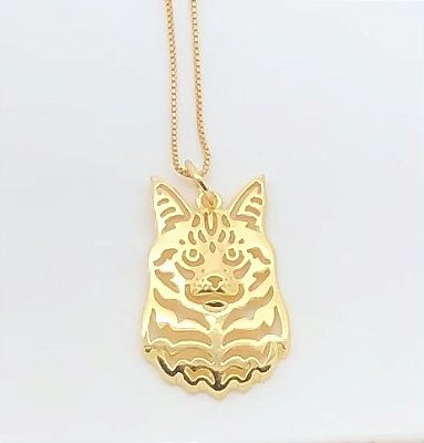 Gato