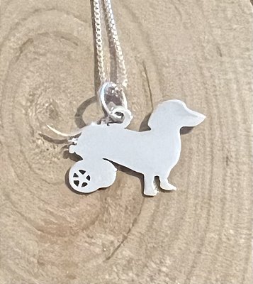 Dachshund Especial