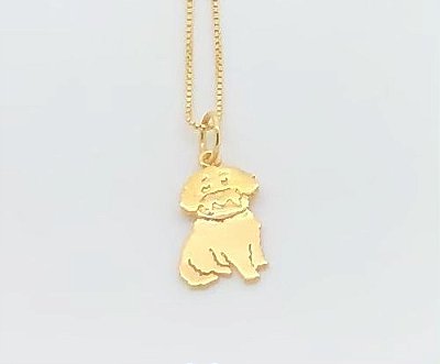 Maltês Puppy