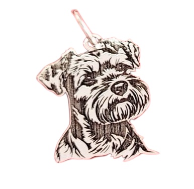 Schnauzer