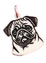 Pug