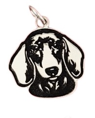 Dachshund (Salsicha)