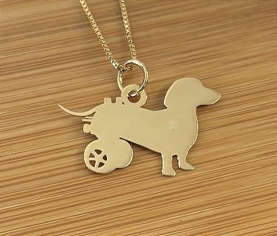 Dachshund Especial