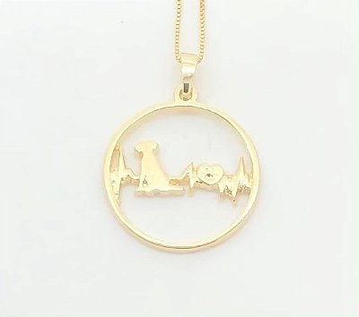 Frequência Golden Retriever
