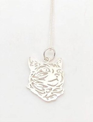 Gato