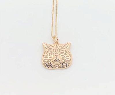 Gato