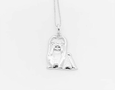 Lhasa Apso /Shitzu