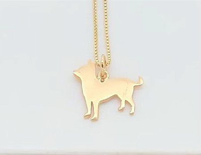 Chihuahua