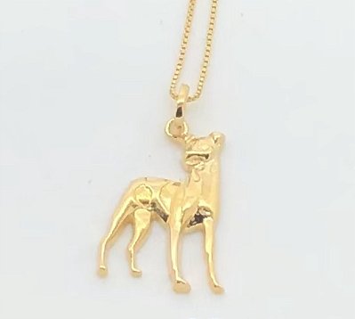 Fox Paulistinha