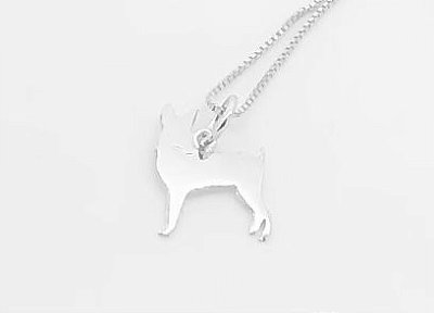 Fox Paulistinha