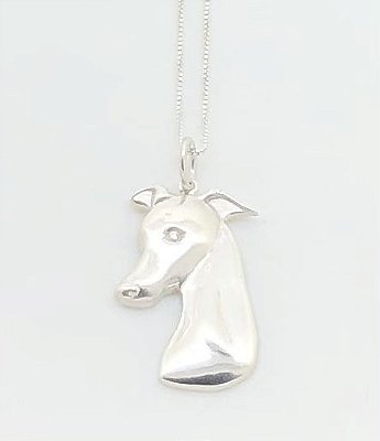 Whippet / Galgo