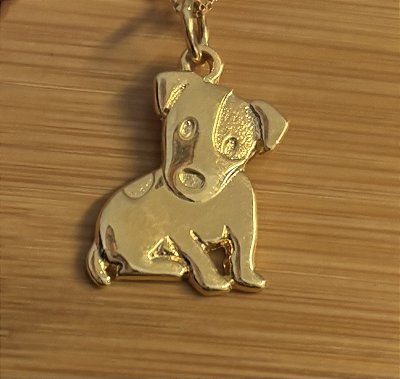 Jack Russel