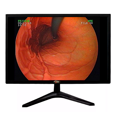 Monitor semi profissional Led FHD Tela 24' Polegadas 60hz Entrada HDMI VGA AV RCA