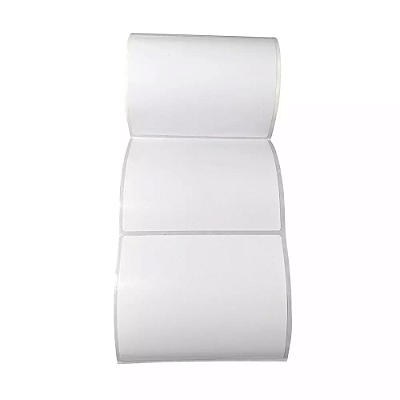 10 Rolos Etiqueta Adesiva Térmica 100x100 10x10 Elgin Zebra Branco