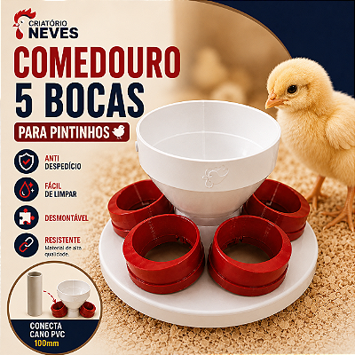 Comedouro 5 Bocas Anti-desperdício para Pintinhos - Exclusivo Criatório Neves