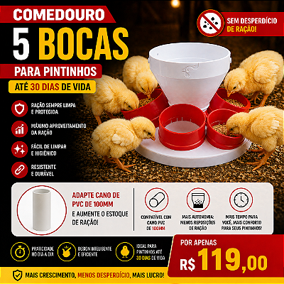 Comedouro 5 Bocas Anti-desperdício para Pintinhos - Exclusivo Criatório Neves