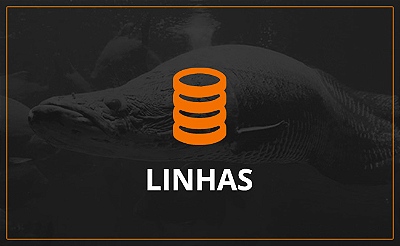 linhas