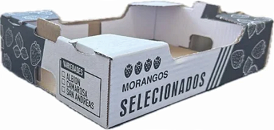 CAIXA PARA MORANGO - 25 UNIDADES 35x23x7,5