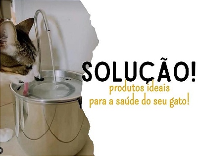 tst novo 2