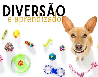 tst novo