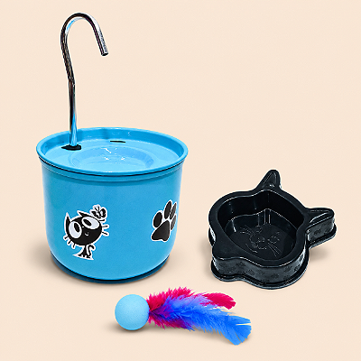 Fonte para Gatos DM Pets - Colors